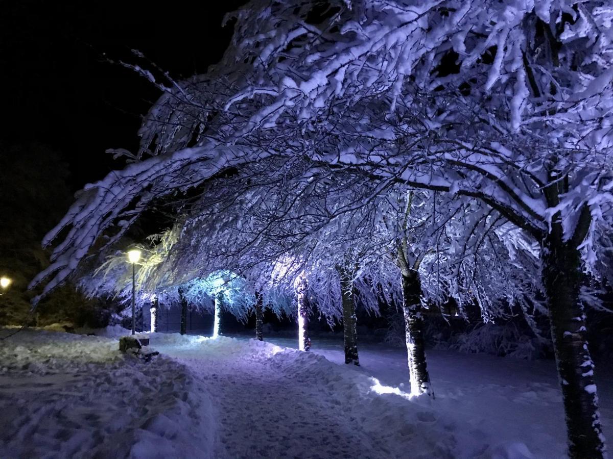 Schoene Bergsicht Гослар Екстериор снимка